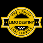 Airport Taxi, Taxi Service